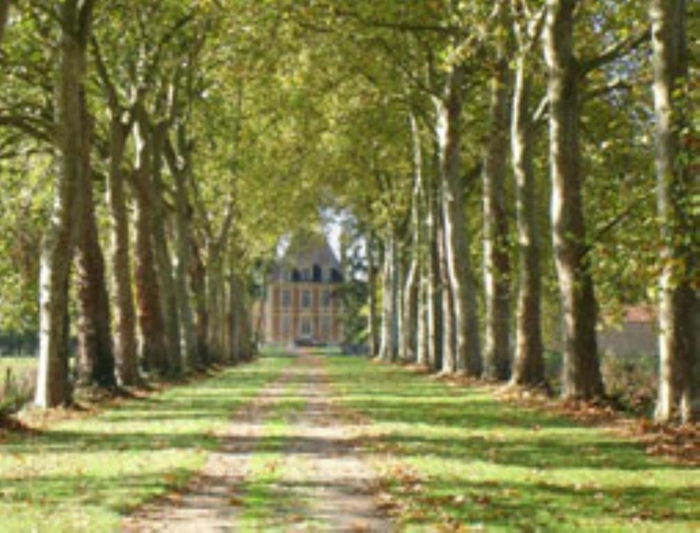 Château de Villars Villeneuve-sur-Allier Exterior foto