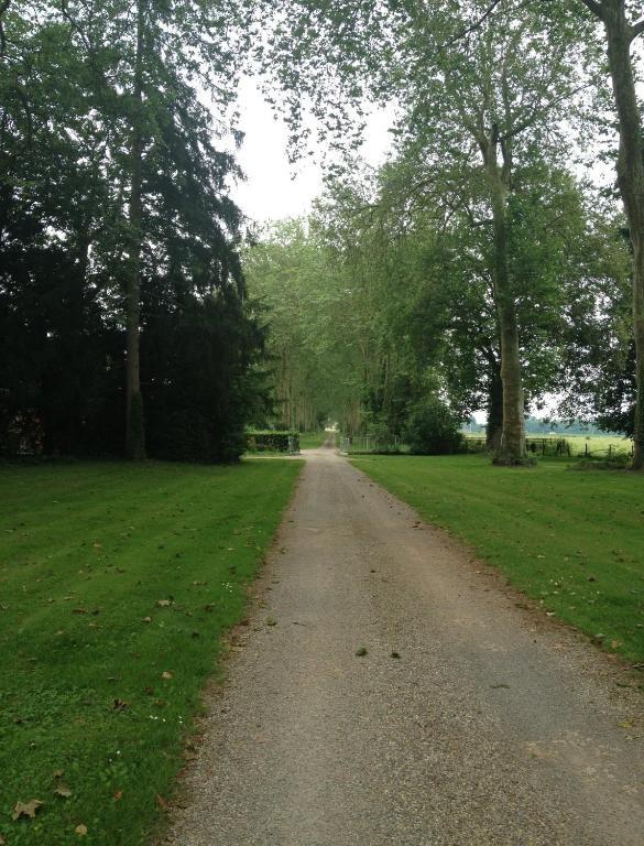 Château de Villars Villeneuve-sur-Allier Exterior foto